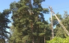 Zaszk&oacute;w Kol 3