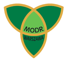 Zdjęcie do Uprawa kukurydzy i jej zastosowanie w żywieniu bydła