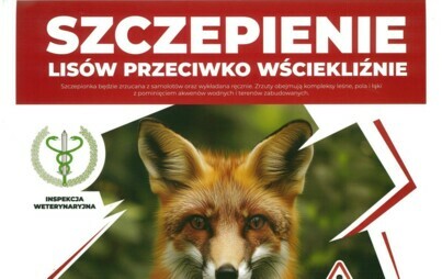 Zdjęcie do Informacja dotycząca szczepienia lis&oacute;w przeciw wściekliźnie!