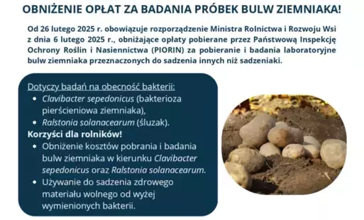 Zdjęcie do Informacja dotycząca badań pr&oacute;bek bulw ziemniaka 