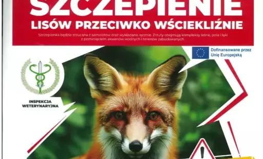 Zdjęcie do Informacja o szczepieniu lis&oacute;w przeciwko wściekliźnie!