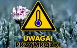 Zdjęcie artykułu z dnia 06-05-2025