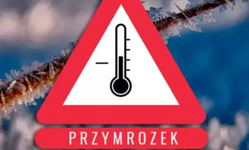 Zdjęcie artykułu z dnia 08-05-2025
