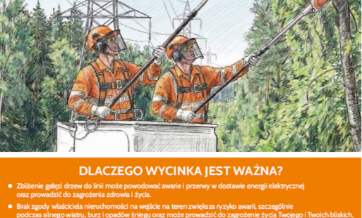 Zdjęcie do Informacja PGE Dystrybucja w sprawie prowadzonych prac utrzymaniowych (wycinki)