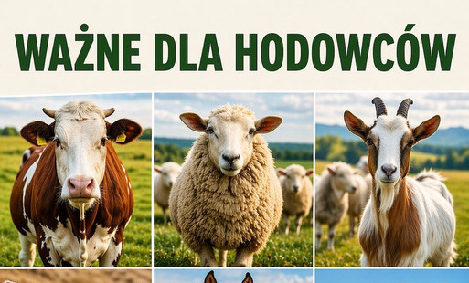 Zdjęcie artykułu z dnia 04-05-2026