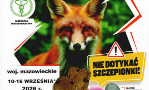 szczepienie lisów