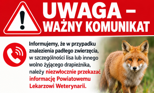 lisy wścieklizna